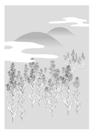 线描花朵