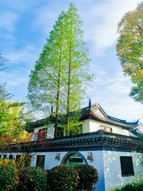 小院