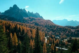 远山森林