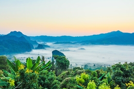 远山森林