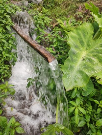 山间流水