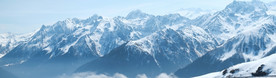 阿尔卑斯山