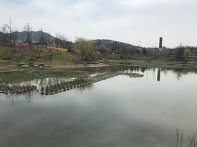 公园一角