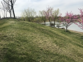 春天公园