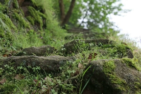 石台阶