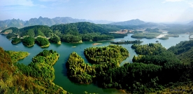 金莲湖