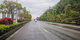 公路 大道 绿化带