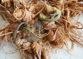 云南满泽新鲜三七头图片