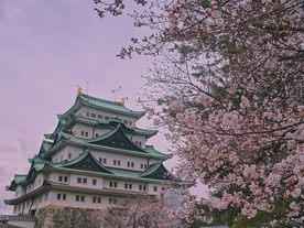 樱花粉色