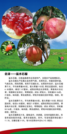 石榴 会泽旅游 会泽风光