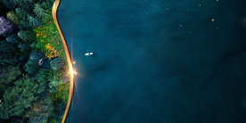 地产深绿 森林 地产盛夏园林