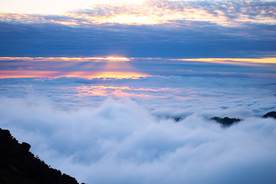 高山云雾