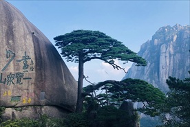 黄山风景