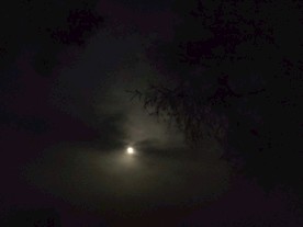 晚上