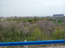春景
