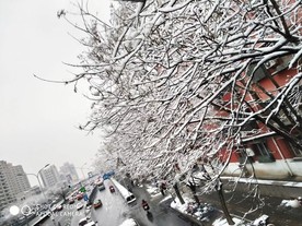 大雪过后