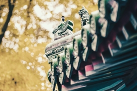 银杏与古建筑