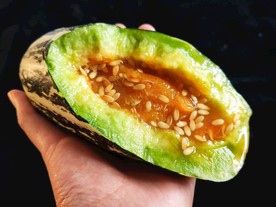 羊角蜜甜瓜