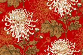 花朵 矢量花朵 手绘花朵
