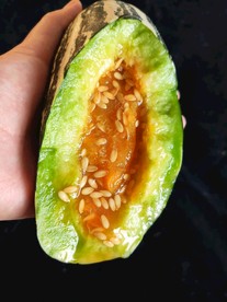 羊角蜜甜瓜