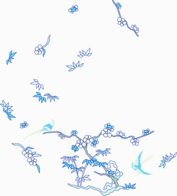 绣花鸟 花鸟动物