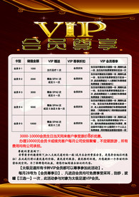 VIP 会员