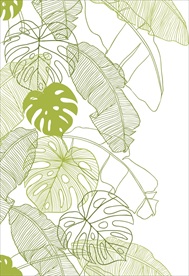 芭蕉叶