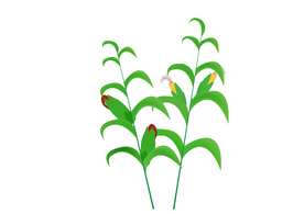 矢量玉米 卡通玉米 玉米