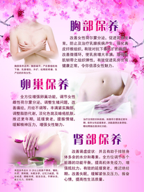 胸部保养 卵巢保养  肾部保养