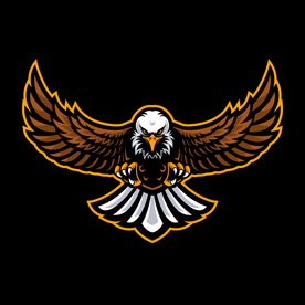 雄鹰LOGO