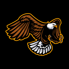 雄鹰LOGO