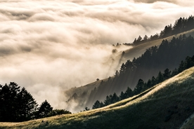 群山森林云雾树木风景