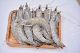 青虾