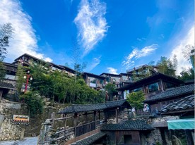 泊园茶村