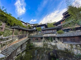 泊园茶村