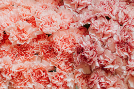 花花
