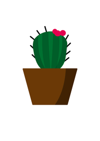 绿植盆栽仙人球