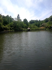 蓝天绿水