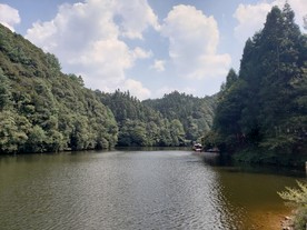 河边景色