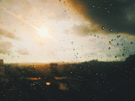 雨中美景水珠积水图片