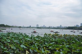 大明湖风光