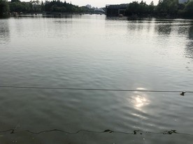 平静的水面