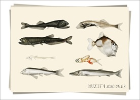 8款入深海鱼 海洋生物图鉴