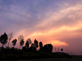 田野的黄昏