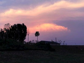 田野的黄昏