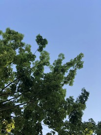 仰望天空