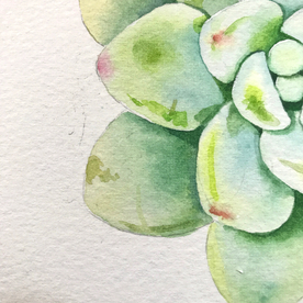 水彩彩铅绘画植物花朵