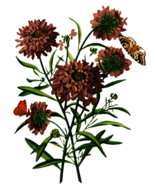 复古鲜花主题装饰图案