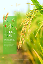 清新小满海报