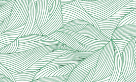 底纹边框 背景底纹